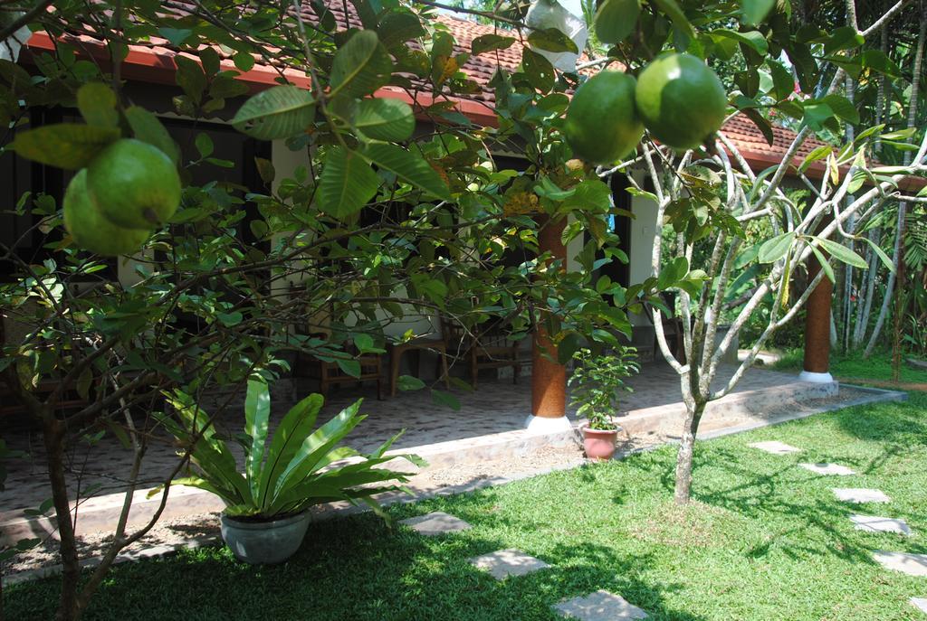 Aknara Rest Hotel Weligama Kültér fotó