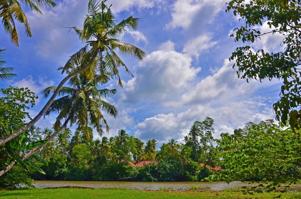 Aknara Rest Hotel Weligama Kültér fotó
